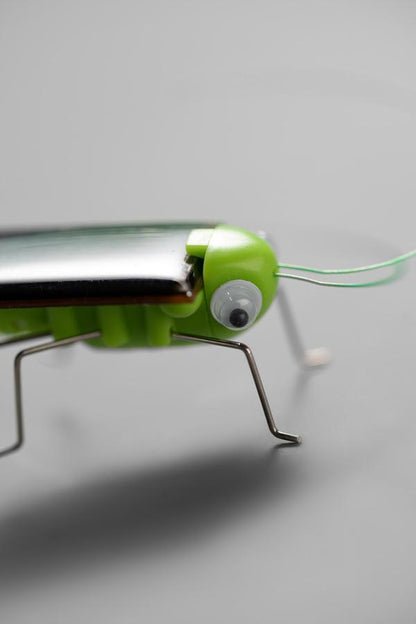 Novelty creative solar-powered crawling insects